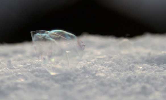 Bubble freezing in the midst of popping! Photography by Lisa Ernst 